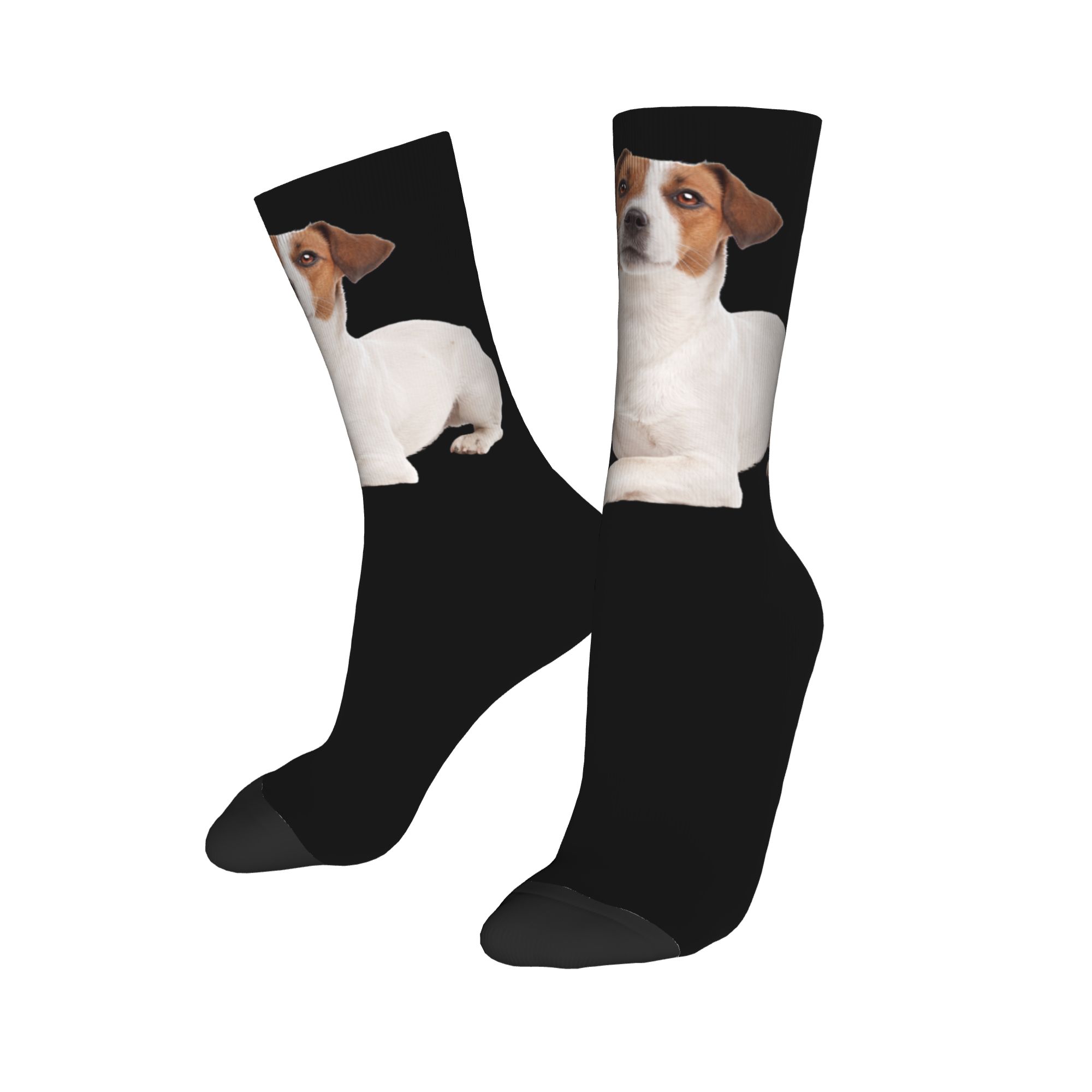 Custom Jack Russell Terrier Do – обзор и цена 3D Printing Youtube